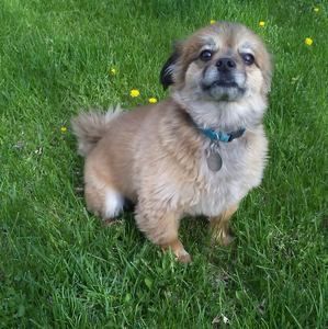 Meet your Posher, Lora